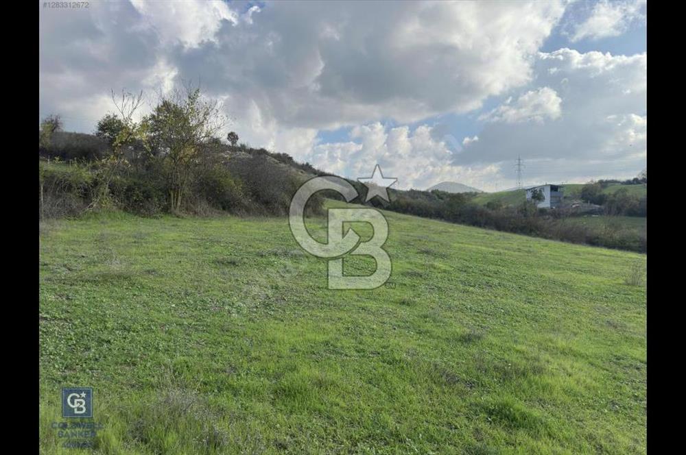 MUSTAFAKEMALPAŞA DEREKADI MAH. 1728 M2 ARSA