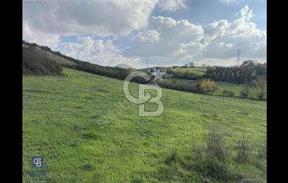 MUSATAFAKEMALPAŞA DEREKADI MAH. 1200 M2 SATILIK ARSA