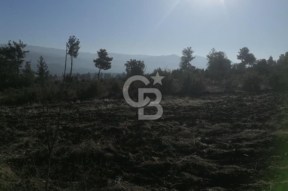 Muğla Menteşe Gazeller Mahallesi’nde Satılık Tarla