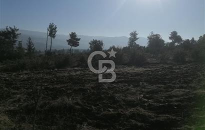 Muğla Menteşe Gazeller Mahallesi’nde Satılık Tarla