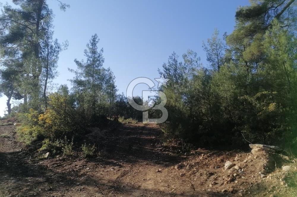 Muğla Menteşe Gazeller Mahallesi’nde Satılık Tarla