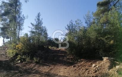 Muğla Menteşe Gazeller Mahallesi’nde Satılık Tarla