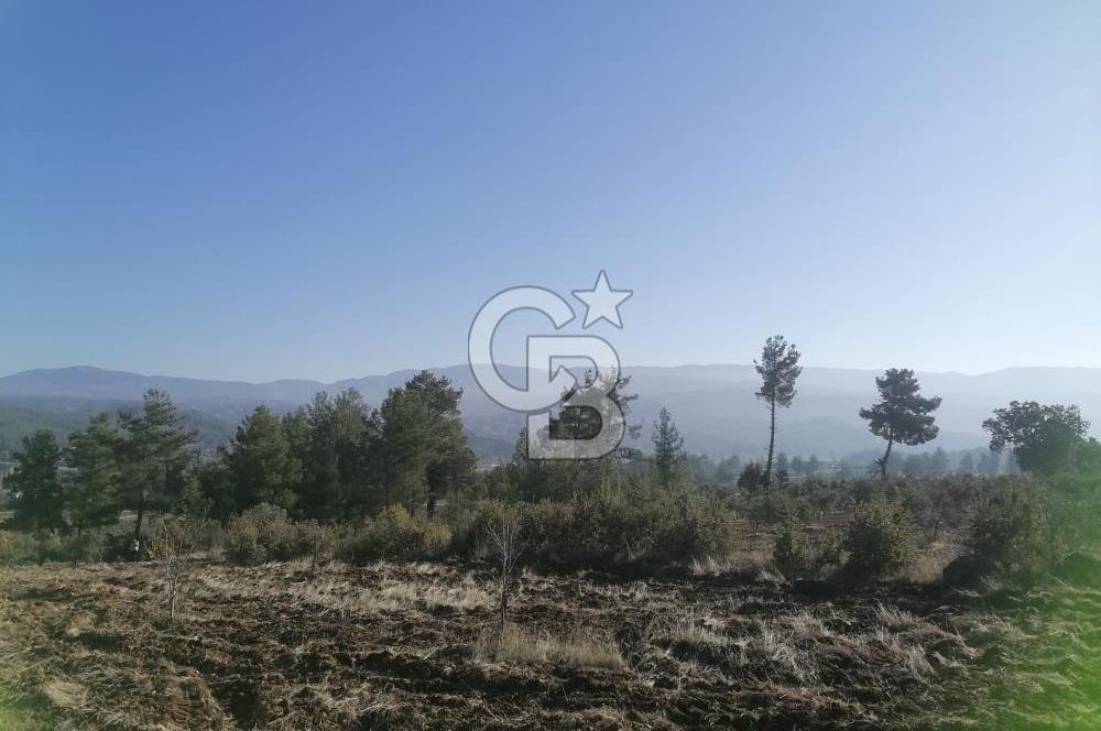 Muğla Menteşe Gazeller Mahallesi’nde Satılık Tarla