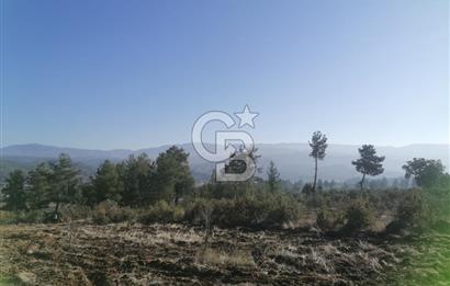 Muğla Menteşe Gazeller Mahallesi’nde Satılık Tarla