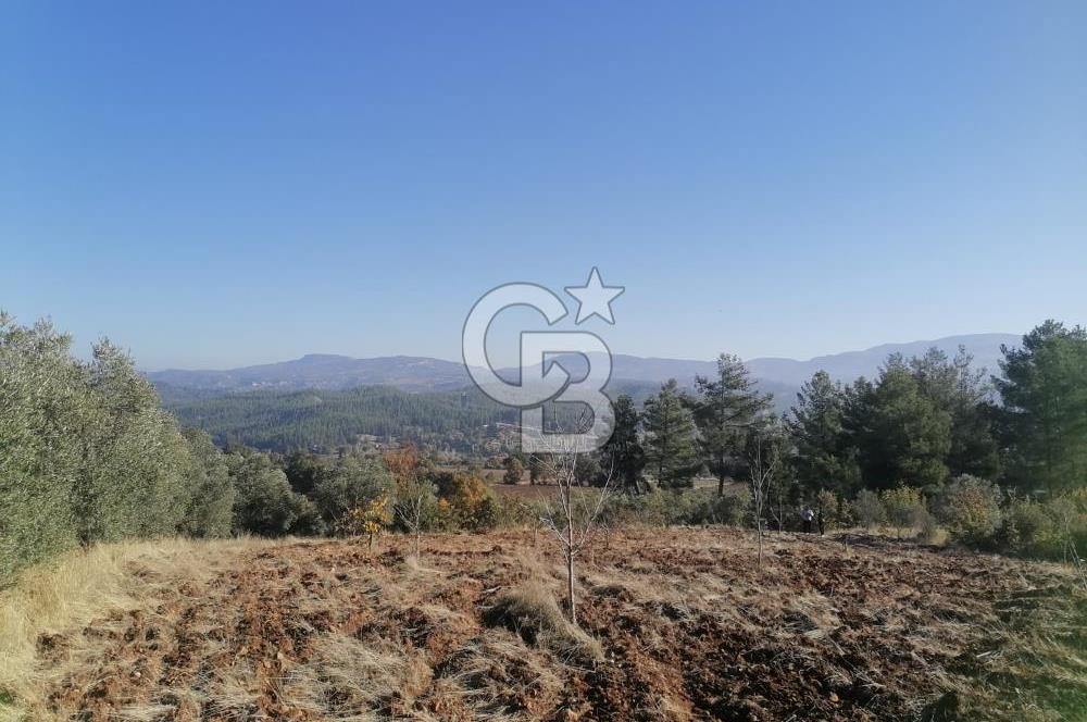 Muğla Menteşe Gazeller Mahallesi’nde Satılık Tarla