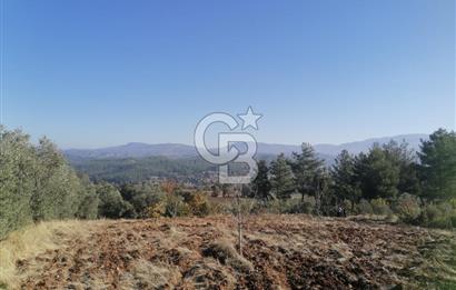 Muğla Menteşe Gazeller Mahallesi’nde Satılık Tarla