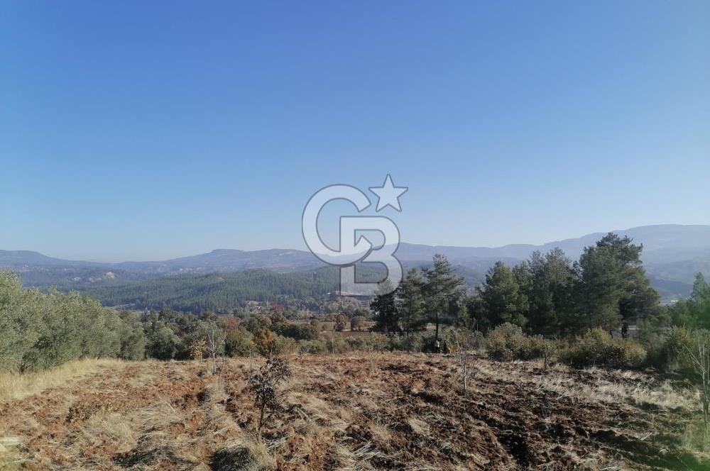 Muğla Menteşe Gazeller Mahallesi’nde Satılık Tarla