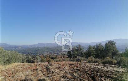 Muğla Menteşe Gazeller Mahallesi’nde Satılık Tarla