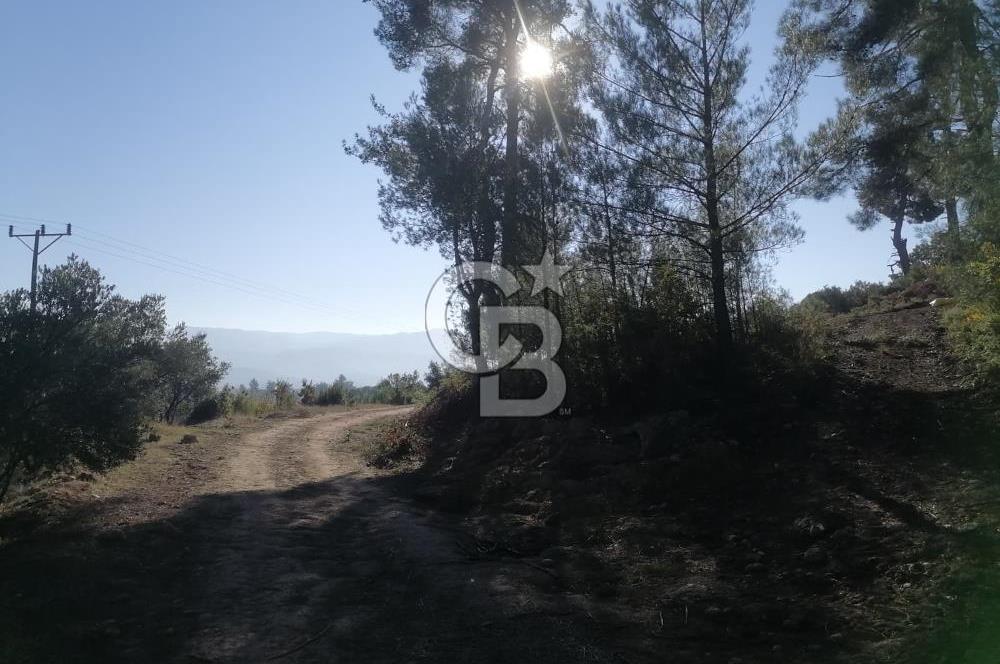 Muğla Menteşe Gazeller Mahallesi’nde Satılık Tarla