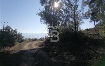 Muğla Menteşe Gazeller Mahallesi’nde Satılık Tarla