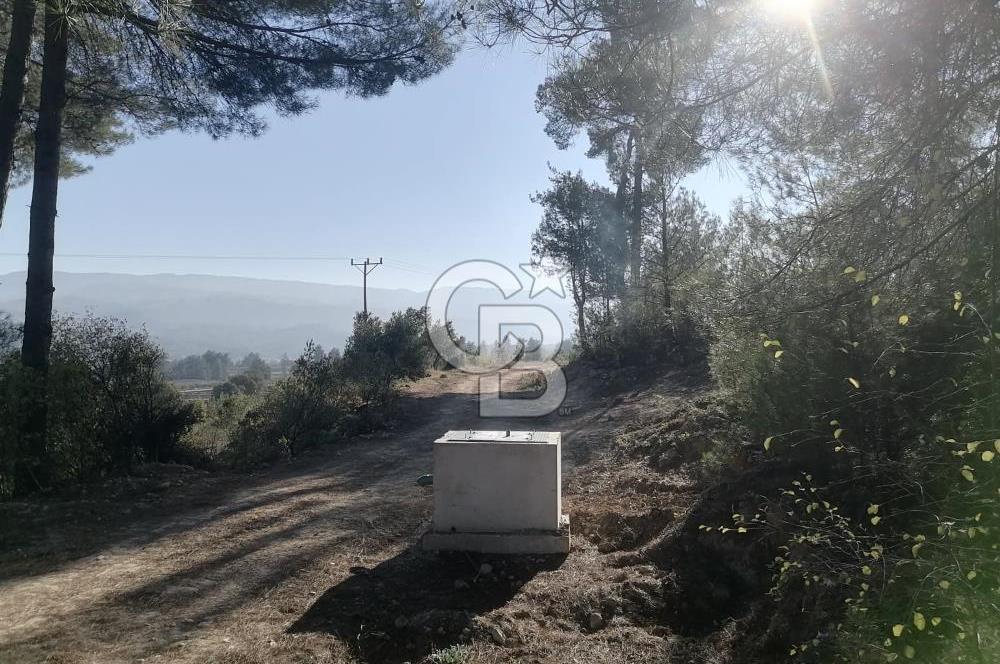 Muğla Menteşe Gazeller Mahallesi’nde Satılık Tarla