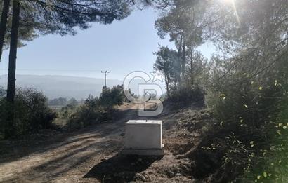 Muğla Menteşe Gazeller Mahallesi’nde Satılık Tarla