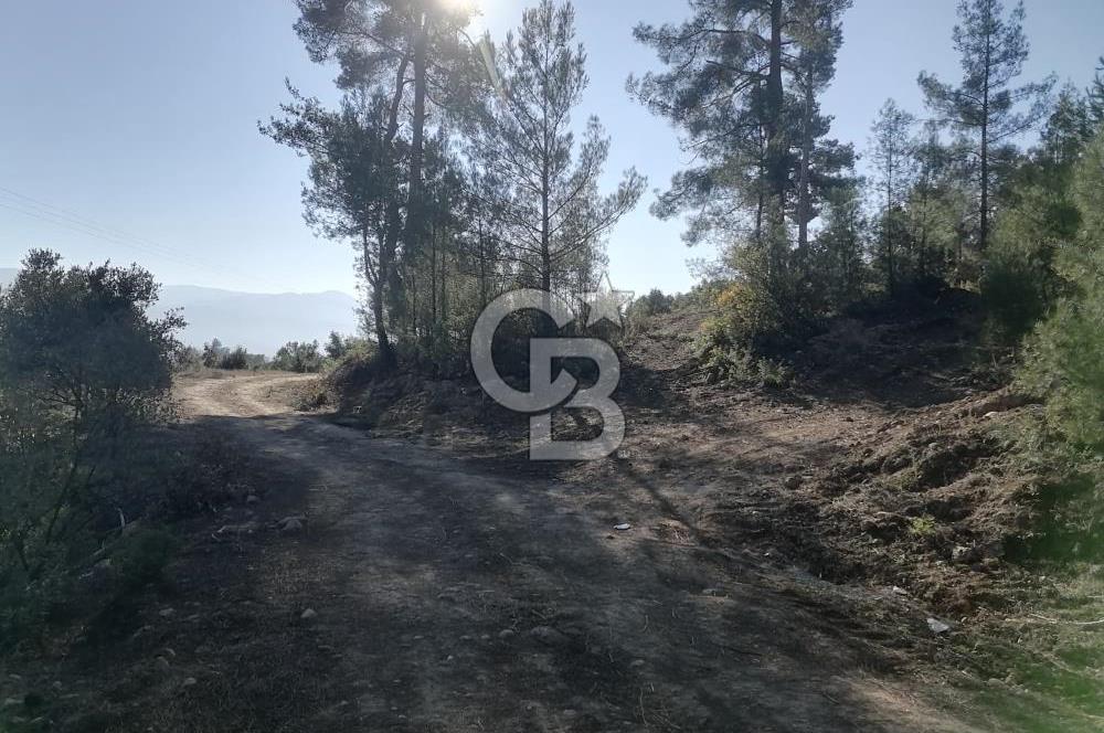 Muğla Menteşe Gazeller Mahallesi’nde Satılık Tarla