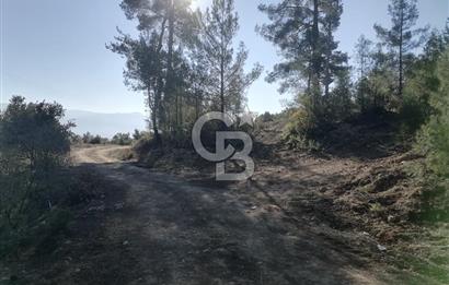 Muğla Menteşe Gazeller Mahallesi’nde Satılık Tarla