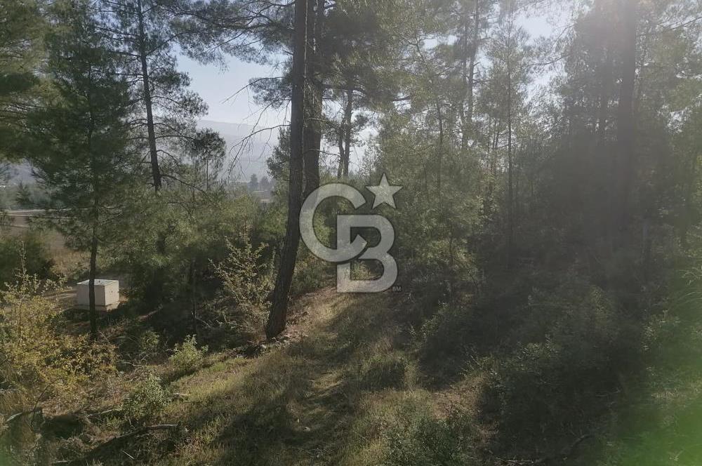 Muğla Menteşe Gazeller Mahallesi’nde Satılık Tarla