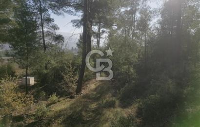 Muğla Menteşe Gazeller Mahallesi’nde Satılık Tarla