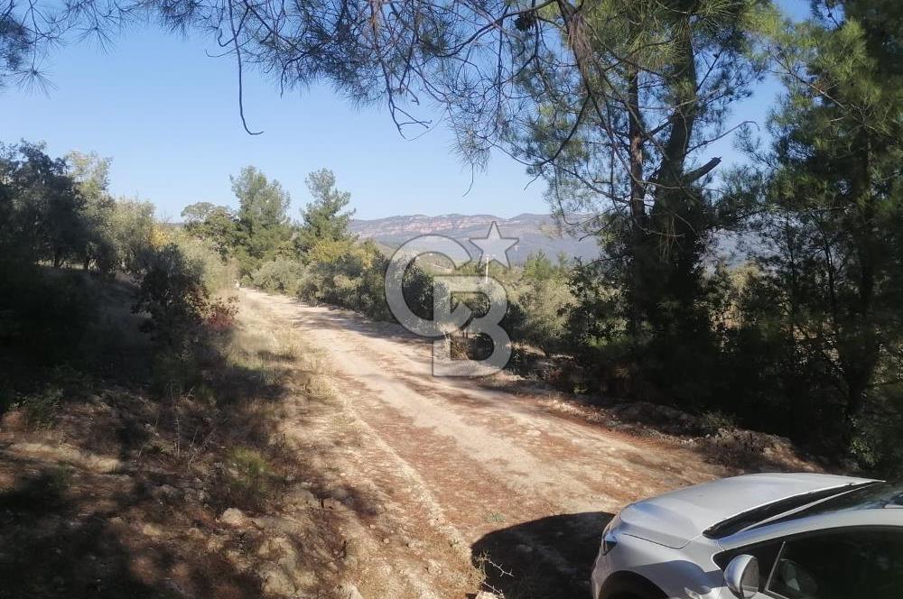 Muğla Menteşe Gazeller Mahallesi’nde Satılık Tarla