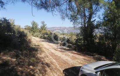 Muğla Menteşe Gazeller Mahallesi’nde Satılık Tarla