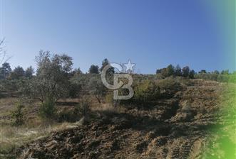 Muğla Menteşe Gazeller Mahallesi’nde Satılık Tarla - 5 - 314411