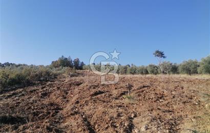 Muğla Menteşe Gazeller Mahallesi’nde Satılık Tarla