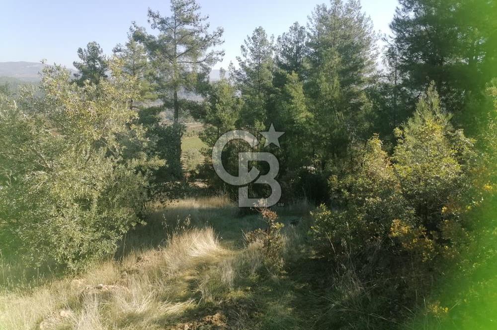 Muğla Menteşe Gazeller Mahallesi’nde Satılık Tarla