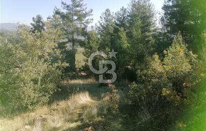 Muğla Menteşe Gazeller Mahallesi’nde Satılık Tarla