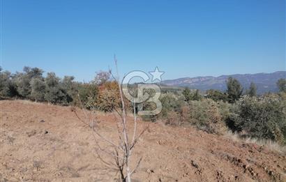 Muğla Menteşe Gazeller Mahallesi’nde Satılık Tarla