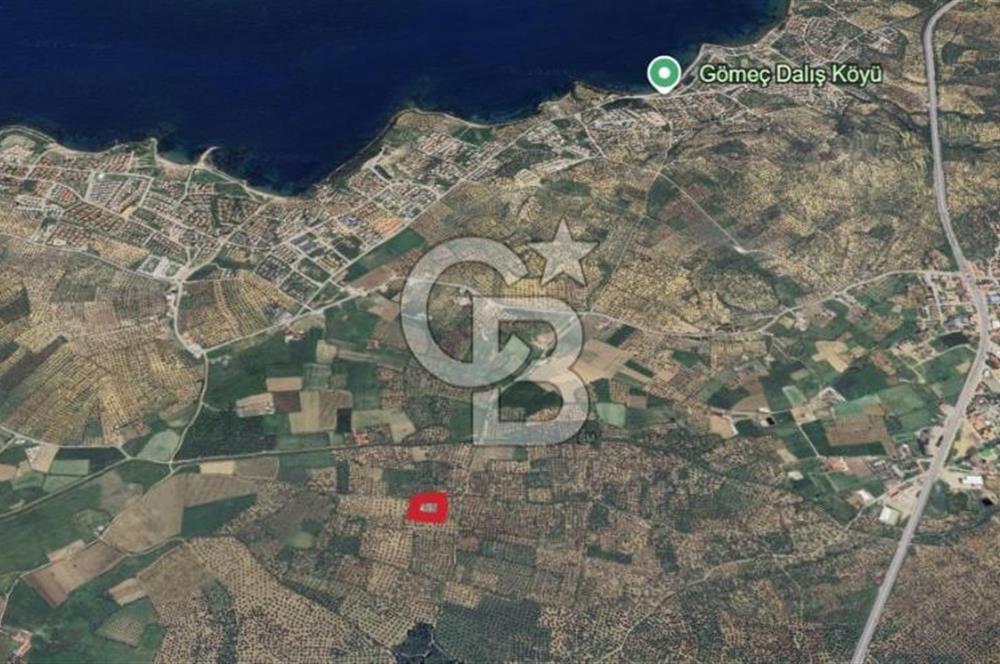 Gömeç karaağaç mahallesi 5600 m2 