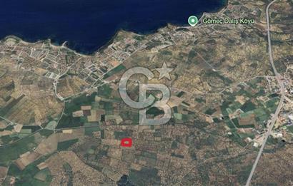 Gömeç karaağaç mahallesi 5600 m2 