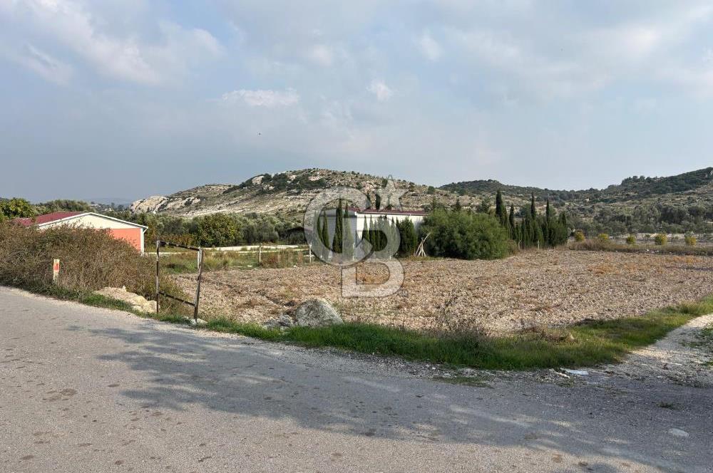 Çeşme Alaçatı’da Yatırım Değeri Yüksek Ana Yola Cepheli Satılık Tarla