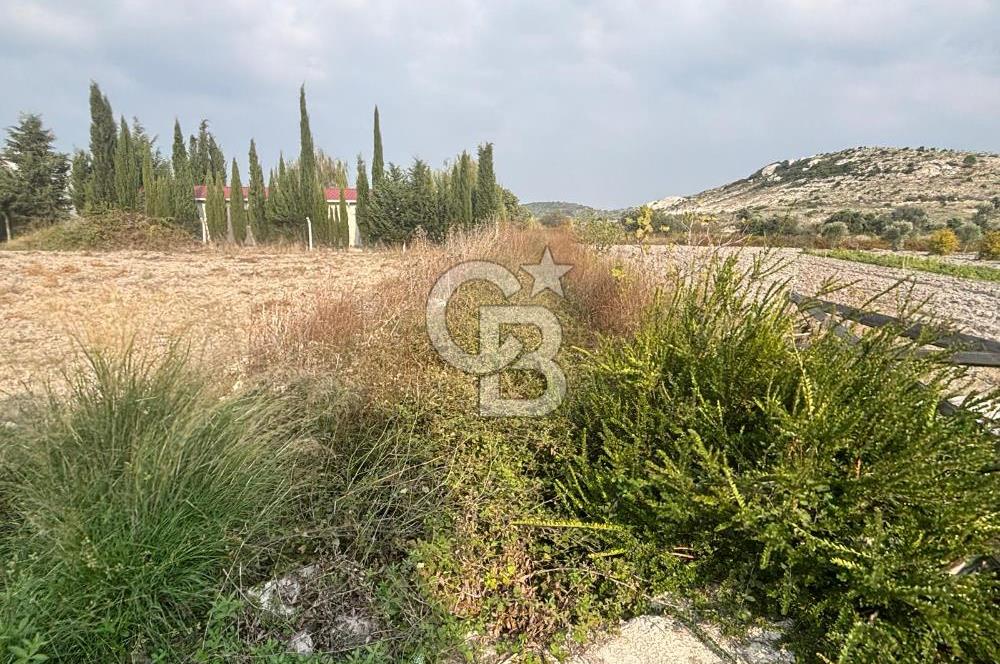 Çeşme Alaçatı’da Yatırım Değeri Yüksek Ana Yola Cepheli Satılık Tarla