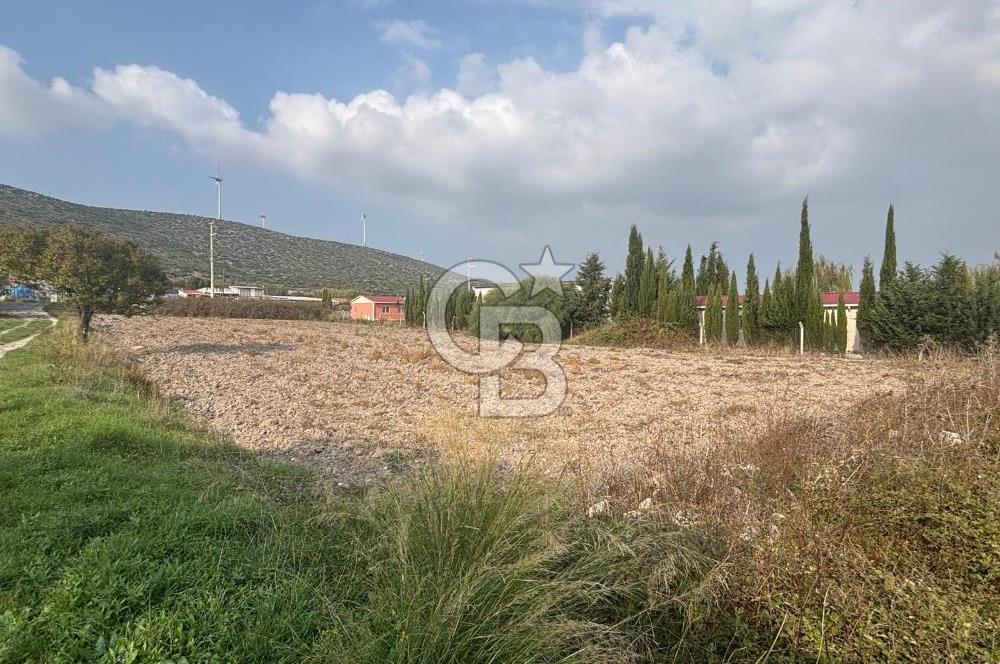 Çeşme Alaçatı’da Yatırım Değeri Yüksek Ana Yola Cepheli Satılık Tarla