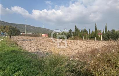 Çeşme Alaçatı’da Yatırım Değeri Yüksek Ana Yola Cepheli Satılık Tarla