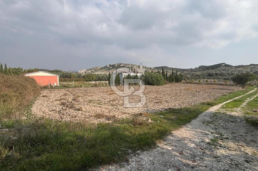 Çeşme Alaçatı’da Yatırım Değeri Yüksek Ana Yola Cepheli Satılık Tarla