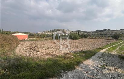 Çeşme Alaçatı’da Yatırım Değeri Yüksek Ana Yola Cepheli Satılık Tarla