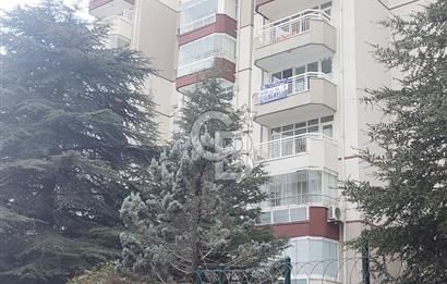 TAŞINMAYA HAZIR, YENİ TADİLATLI, ASANSÖRLÜ, ÖNÜ AÇIK, DAİRE!!