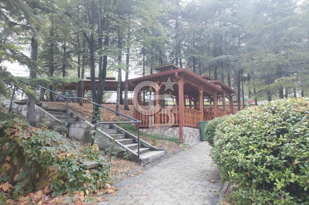 TAŞINMAYA HAZIR, YENİ TADİLATLI, ASANSÖRLÜ, ÖNÜ AÇIK, DAİRE!!