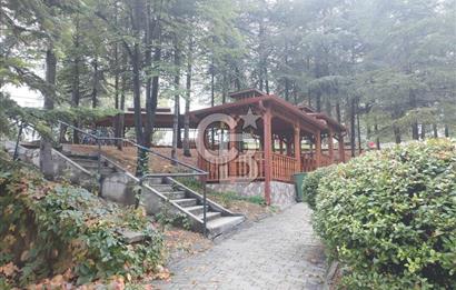 TAŞINMAYA HAZIR, YENİ TADİLATLI, ASANSÖRLÜ, ÖNÜ AÇIK, DAİRE!!