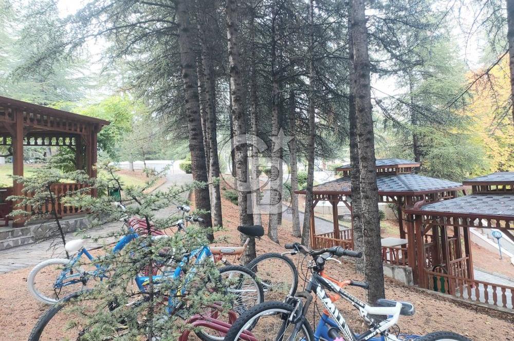 TAŞINMAYA HAZIR, YENİ TADİLATLI, ASANSÖRLÜ, ÖNÜ AÇIK, DAİRE!!