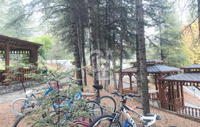 TAŞINMAYA HAZIR, YENİ TADİLATLI, ASANSÖRLÜ, ÖNÜ AÇIK, DAİRE!!