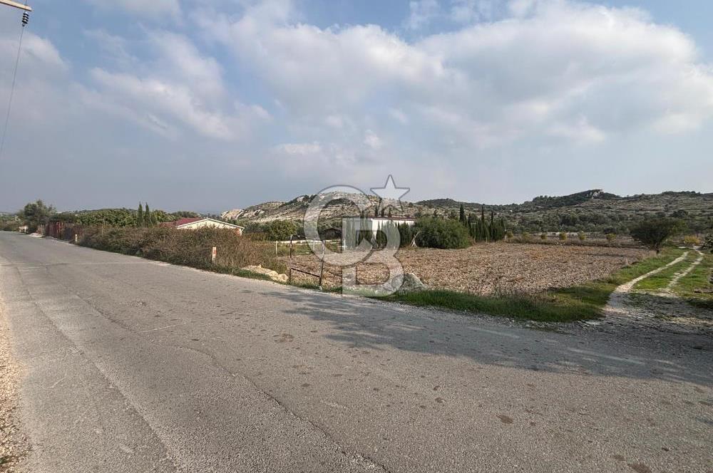Çeşme Alaçatı’da Yatırım Değeri Yüksek Ana Yola Cepheli Satılık Tarla