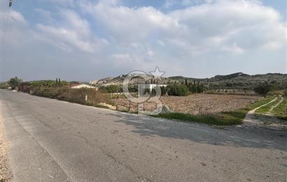 Çeşme Alaçatı’da Yatırım Değeri Yüksek Ana Yola Cepheli Satılık Tarla