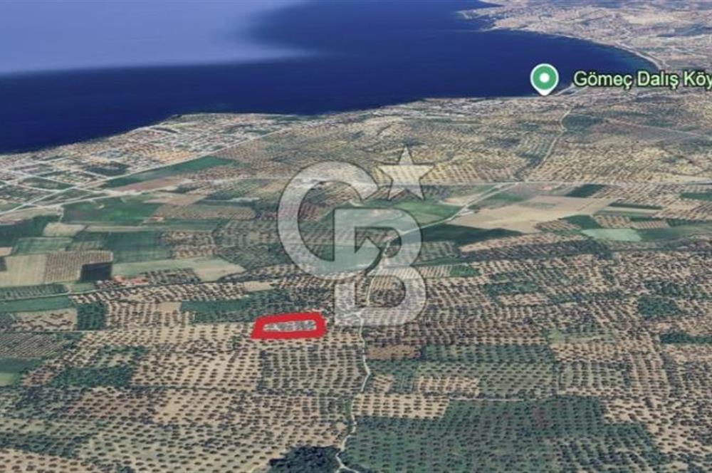 Gömeç karaağaç mahallesi 5600 m2 