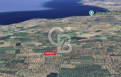 Gömeç karaağaç mahallesi 5600 m2 