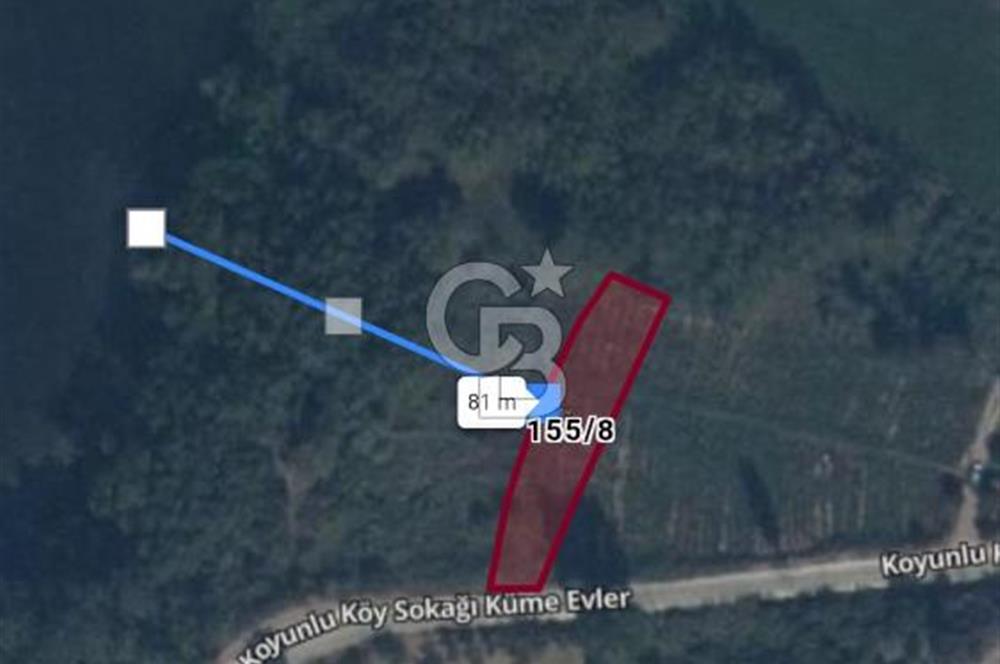 CB CITY'DEN İNHİSAR KOYUNLU KÖYÜNDE SATILIK BAHÇE