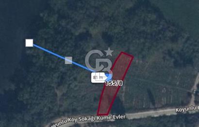 CB CITY'DEN İNHİSAR KOYUNLU KÖYÜNDE SATILIK BAHÇE