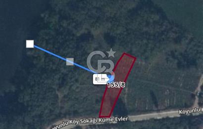 CB CITY'DEN İNHİSAR KOYUNLU KÖYÜNDE SATILIK BAHÇE