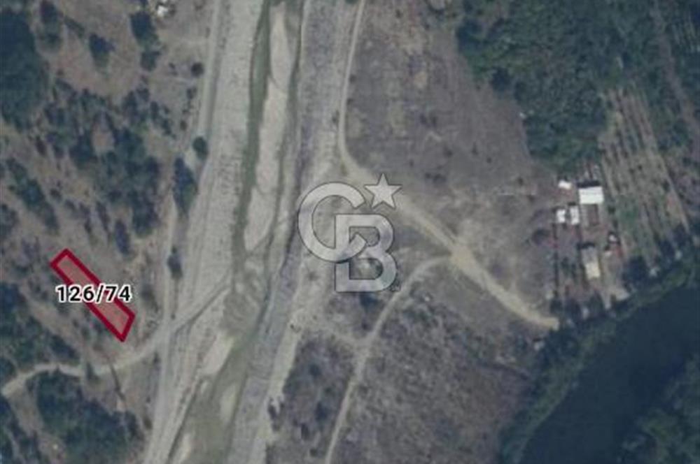 CB CITY'DEN İNHİSAR KOYUNLU KÖYÜNDE SATILIK BAHÇE