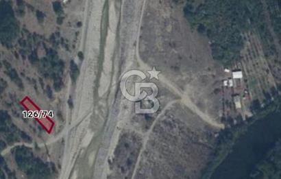 CB CITY'DEN İNHİSAR KOYUNLU KÖYÜNDE SATILIK BAHÇE