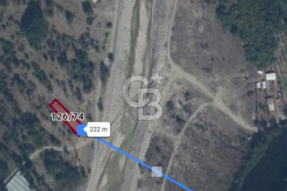 CB CITY'DEN İNHİSAR KOYUNLU KÖYÜNDE SATILIK BAHÇE